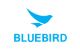 BLUEBIRD TECHNICAL