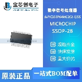DSPIC33EP64MC202-E/SS