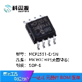 MCP2551-E/SN