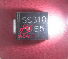 SS310